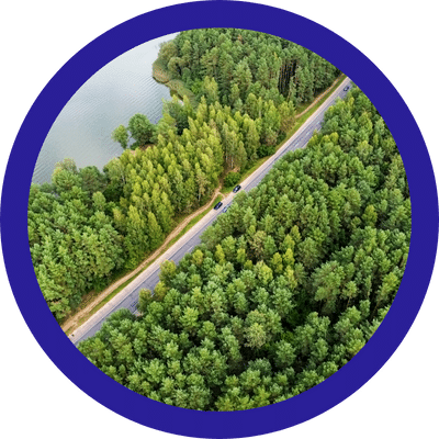 Vippi.org rahoittaa metsän oston